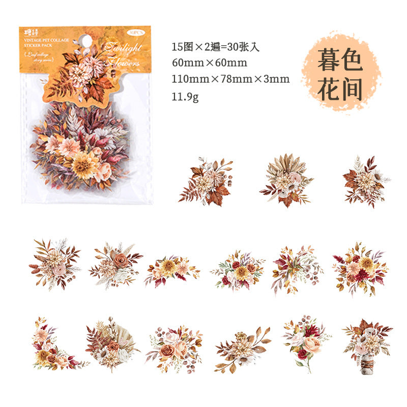 30pcs Vintage PET Collage Stickers YYPTWY