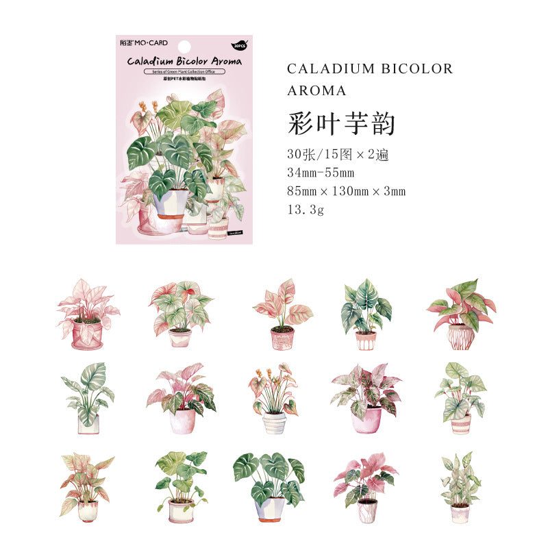 30pcs PET Green Plant Stickers LZSCS