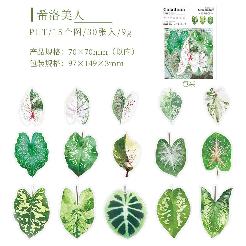 30pcs PET Leaf Stickers FZSY