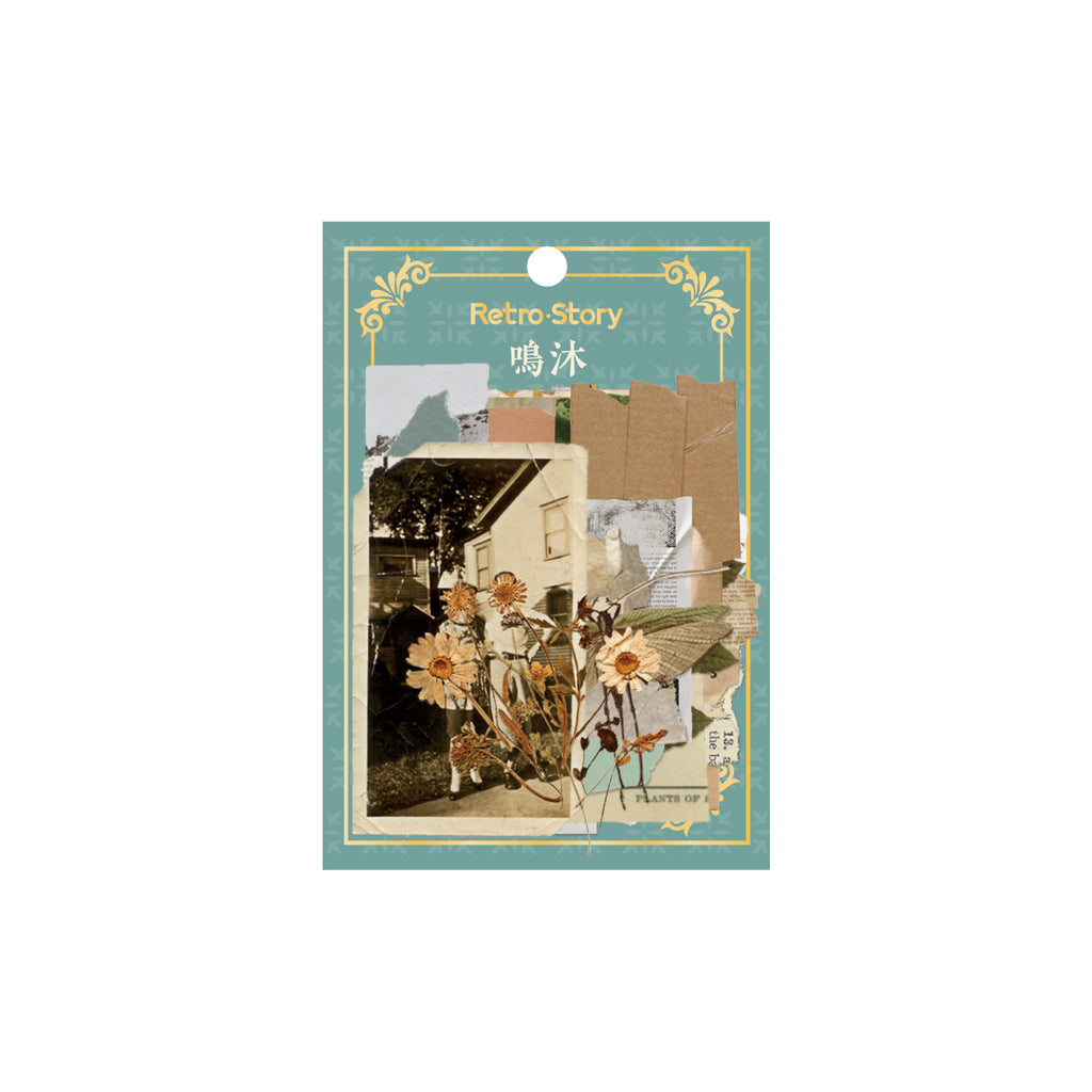 30pcs Vintage Scrapbook Stickers YCXL