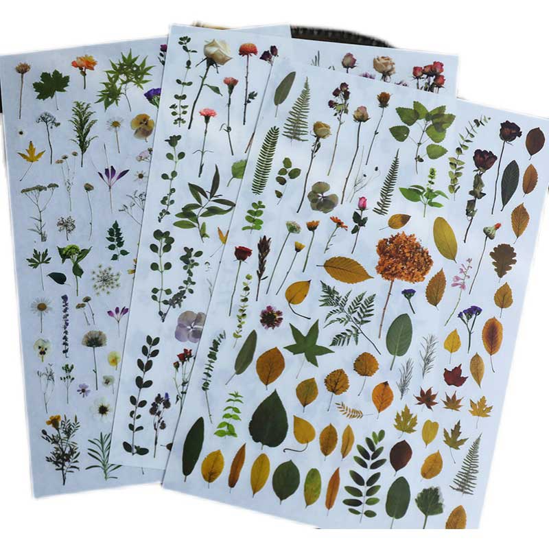 3 Sheets Botanical Rub on Stickers