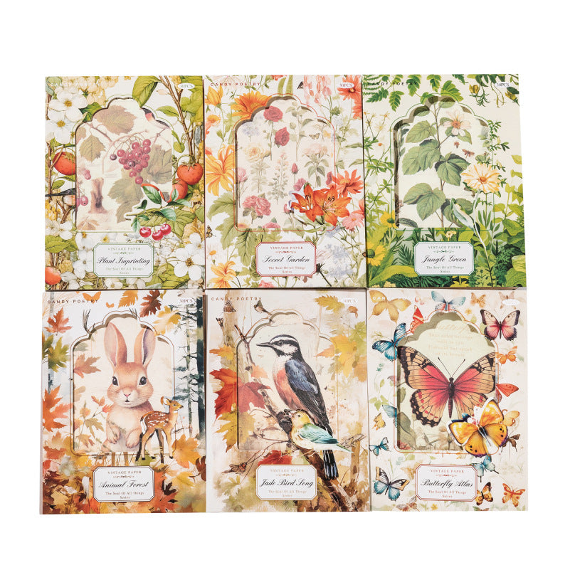 30 Pcs Vintage Scrapbook Paper WWYL