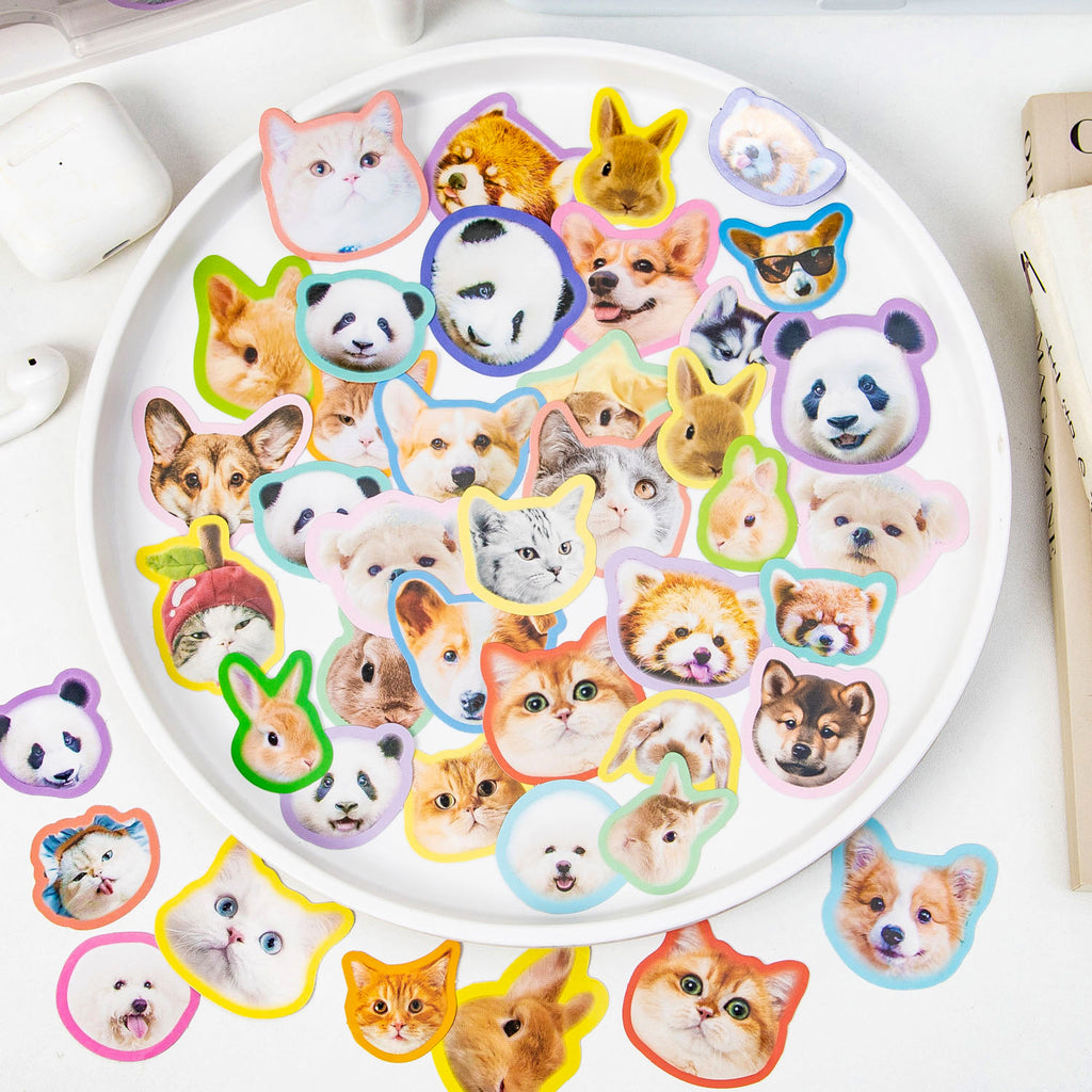40PCS Animal Pet Stickers DWSYY