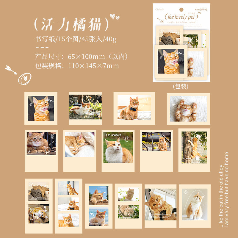 45 Pcs Dog Theme Stickers XDAC