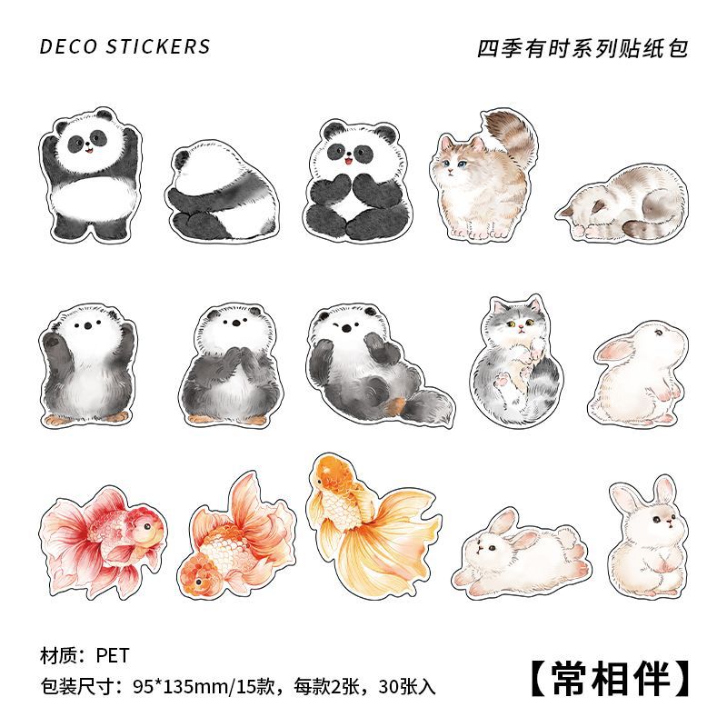 30pcs PET Life Stickers SJYS