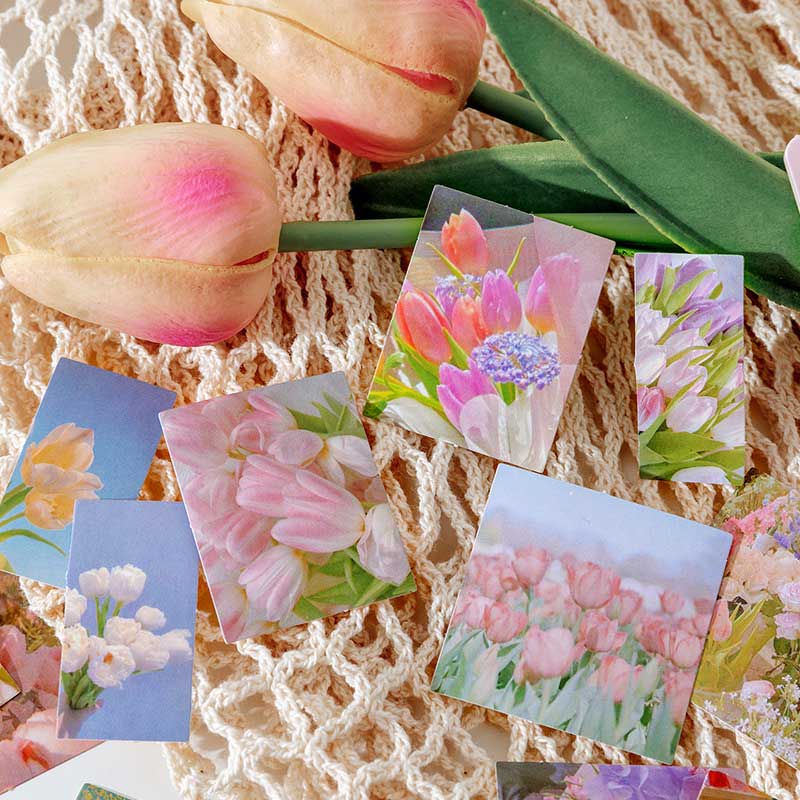 Nazao Boxed Scrapbook Stickers