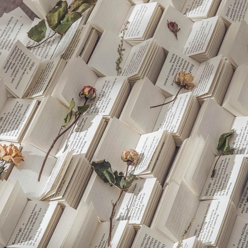 Danci Dictionary Journal Materials - OBUJO