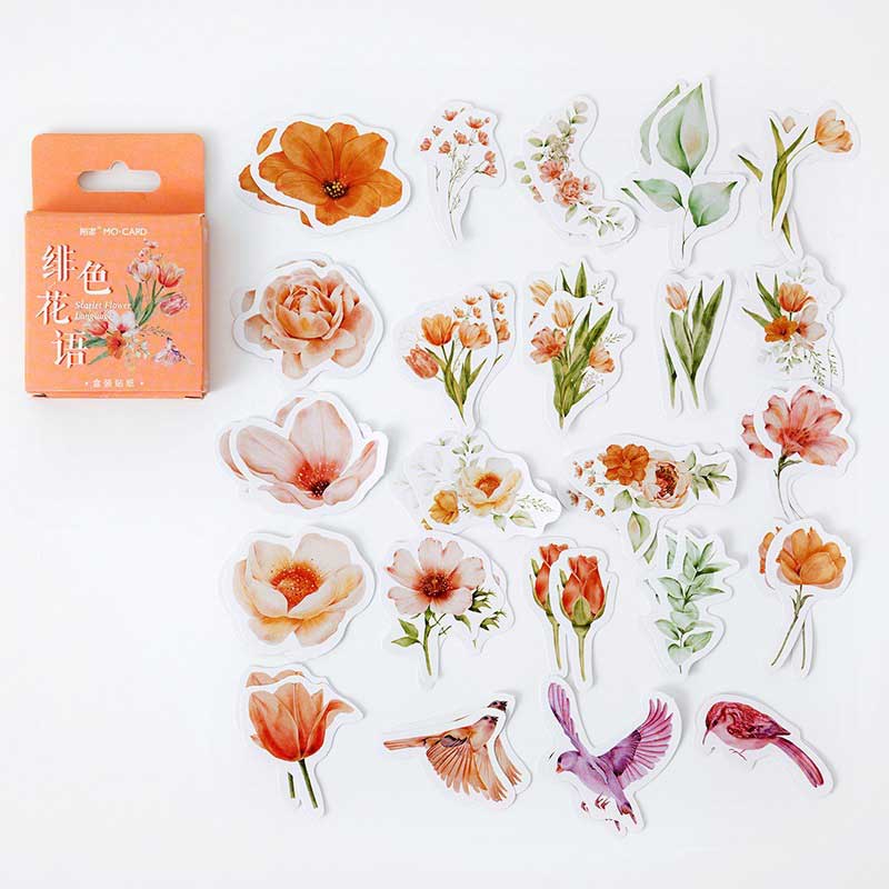 Phyhua Boxed Stickers