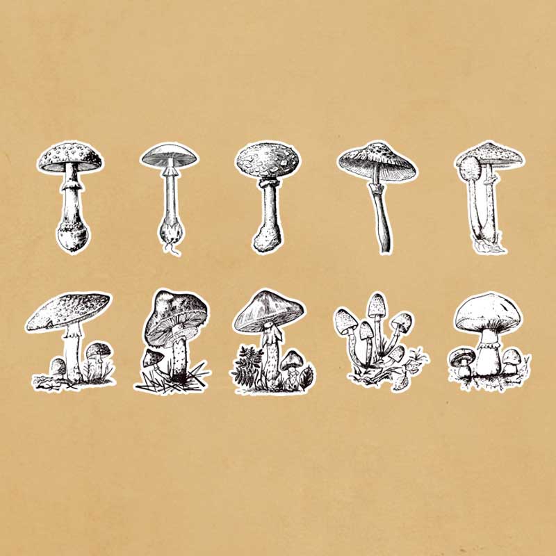 Blaco Washi Stickers Pack