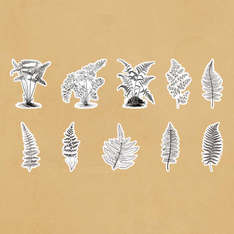Blaco Washi Stickers Pack