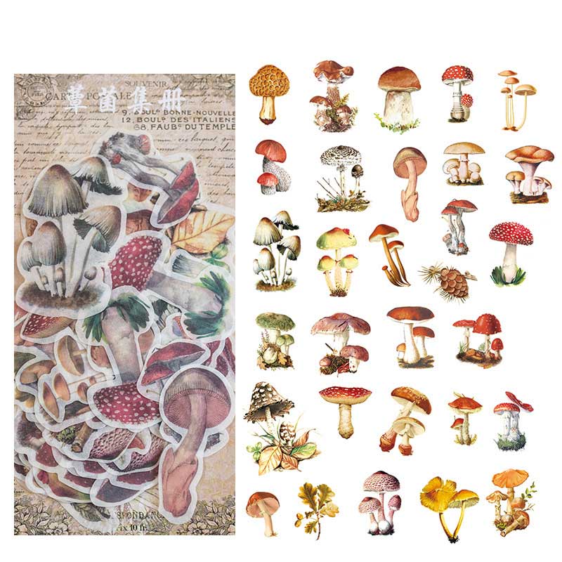 Ezona Washi Stickers ZWS02