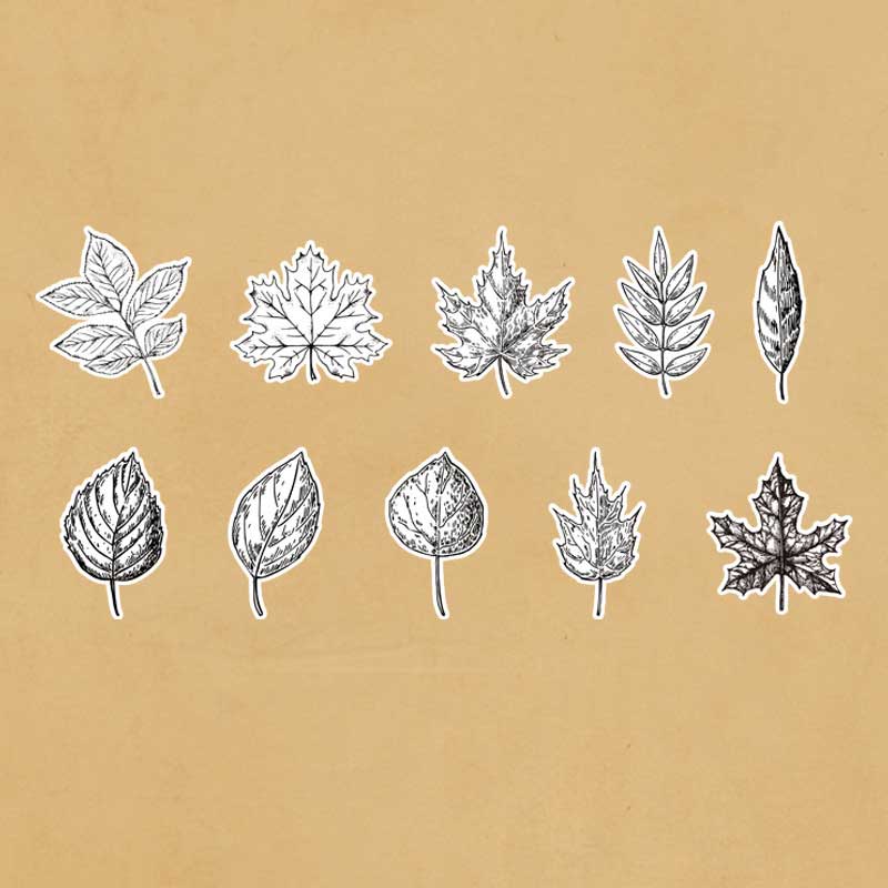 Blaco Washi Stickers Pack