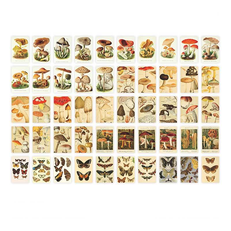 Zonq Washi Stickers Book - OBUJO