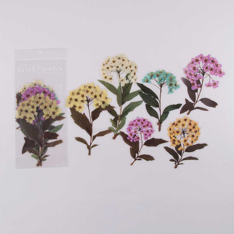 6 Pcs Spring Herbarium Large Pressed Flower Stickers CFHYA