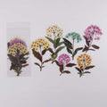 6 Pcs Spring Herbarium Large Pressed Flower Stickers CFHYA