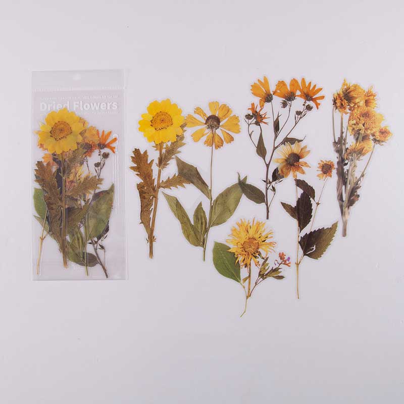 6 Pcs Golden Meadow Large Pressed Daisy Stickers CFHYB