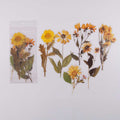 6 Pcs Golden Meadow Large Pressed Daisy Stickers CFHYB