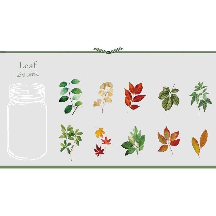 Heido Plant Stickers Pack - OBUJO