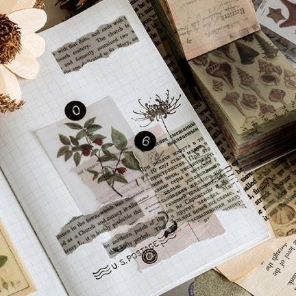Kasigo Bujo Materials - OBUJO