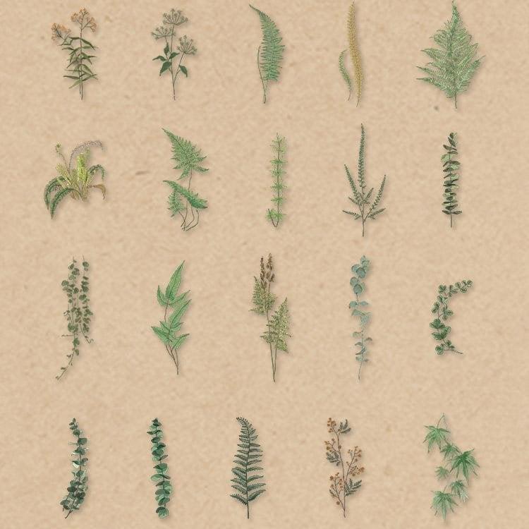 Sengo Stickers Pack - OBUJO